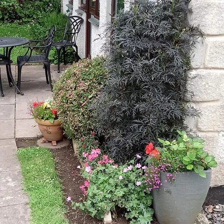 Tolpedn Holiday home Gulval
